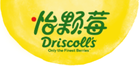 Driscoll's logo